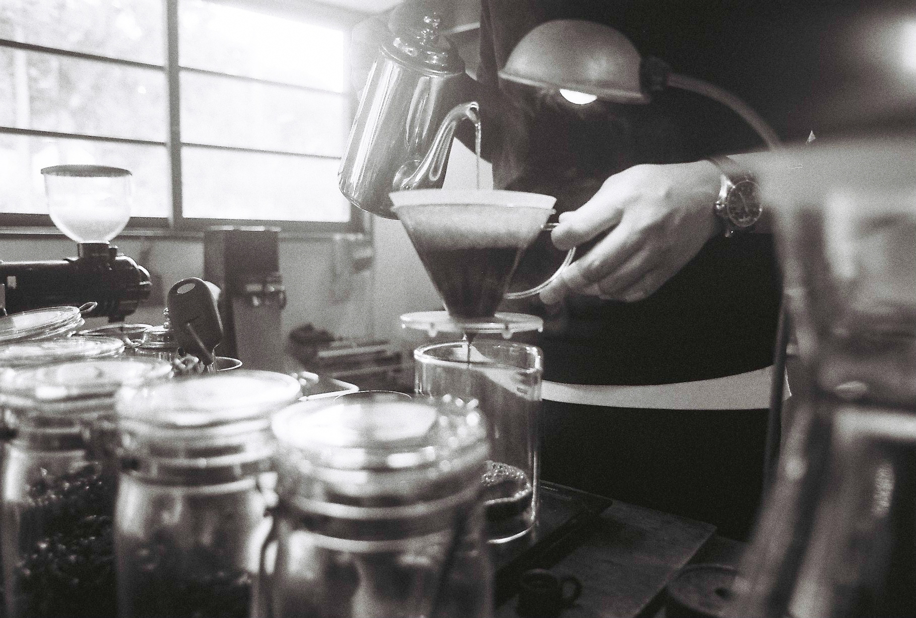 Close-up of a flower