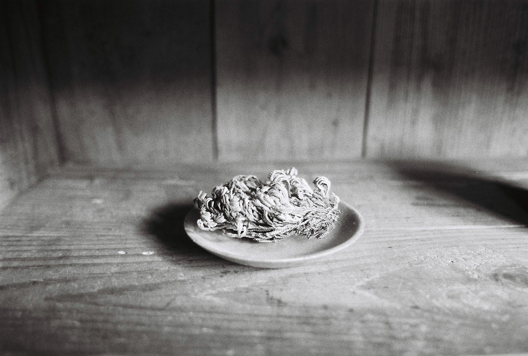 Close-up of a flower