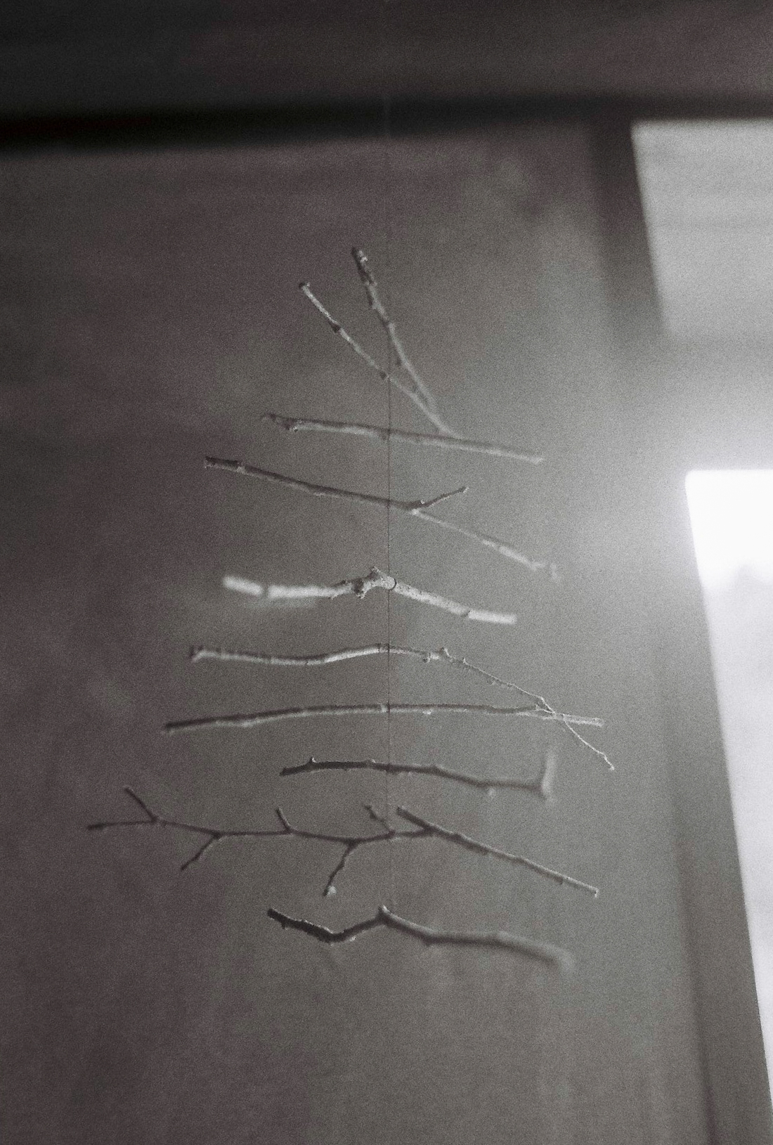 Close-up of a flower